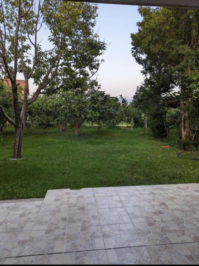 Apartment Filipovic Podgorica Eksteriør billede